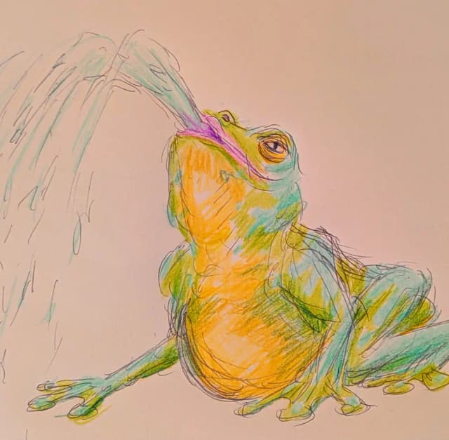 Fountain Frog
